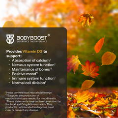 Vitamin D3 - 12 Vials