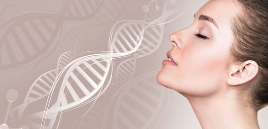Have you wondered about Collagen?